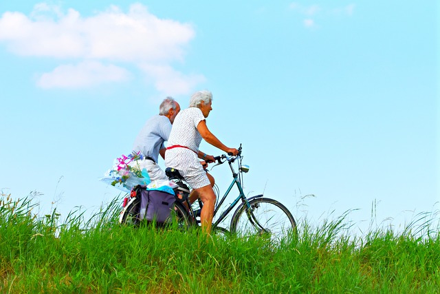knee arthritis home physiotherapy